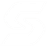 Skuntir